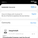 One UI 2.0 beta program begins in USA for Snapdragon S9 and Note 9 Android 10 update