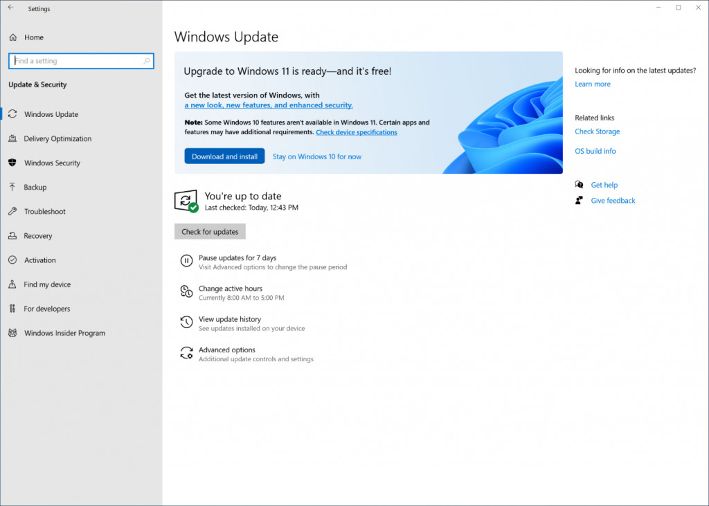 Windows 11 update hitting Windows 10 devices