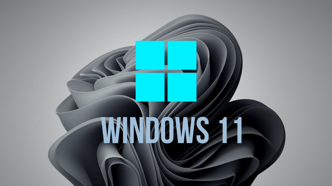 Windows 11