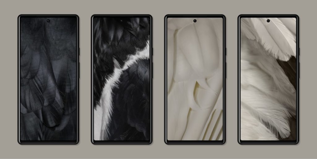 Google Pixel 7 and 7 Pro feather wallpapers