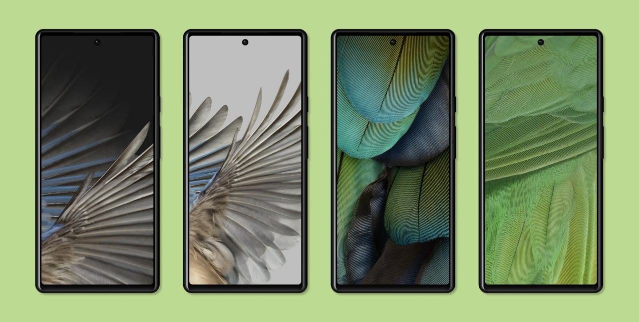 Google Pixel 7 and 7 Pro Feathers wallpapers official