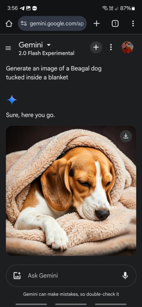 Screenshots Gemini 2.0 (3)